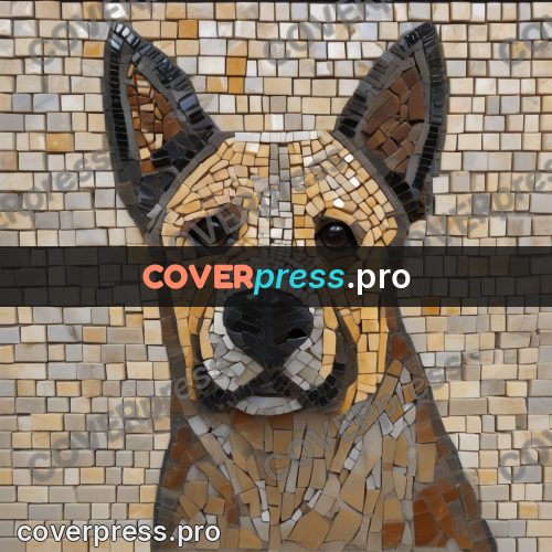 Mosaic mural: muzzle of a ginger dog