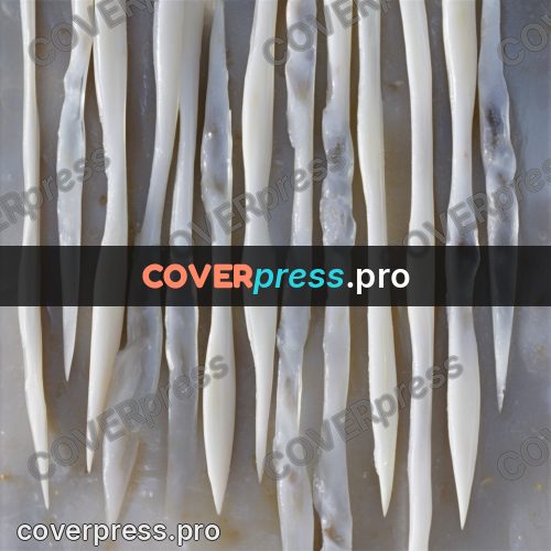 Gouache illustration: white icy shapes
