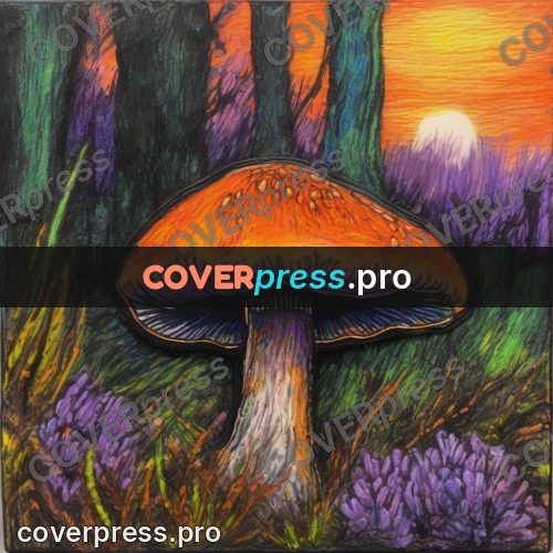 Oil pastel illustration: mushroom among heather at sunset