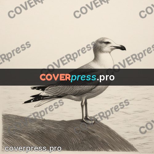Engraving style drawing: gull on a seaside rock