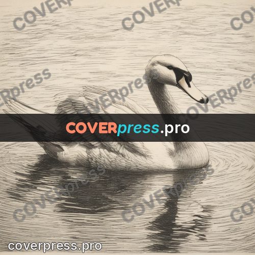 Engraving style drawing: swan on the water