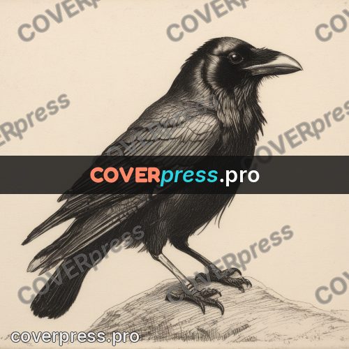 Engraving style drawing: raven on a stone