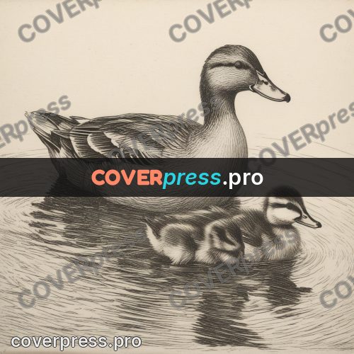 Engraving style drawing: duck with ducklings on water