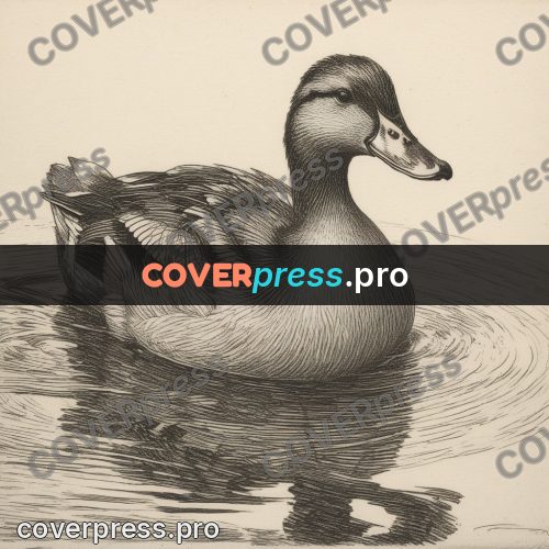 Engraving style drawing: duck with ducklings on water
