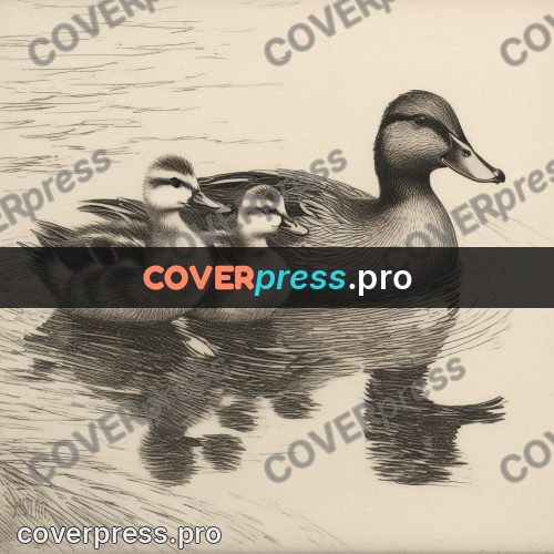 Engraving style drawing: duck with ducklings on water