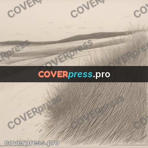 Engraving style drawing: dune with tall grass