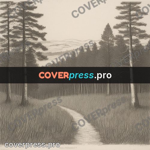 Engraving style drawing: pines by a forest road