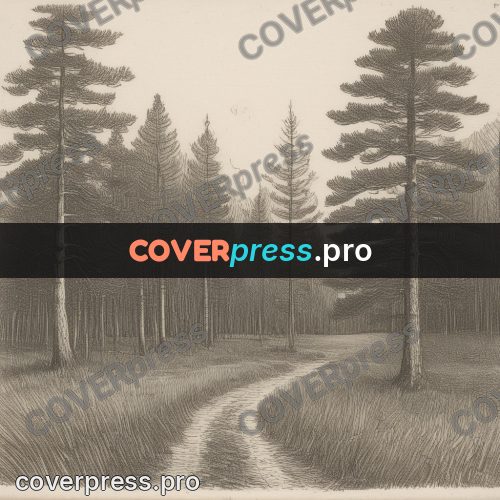 Engraving style drawing: pines by a forest road