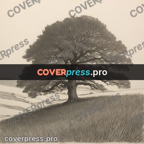 Engraving style drawing: oak on a hillside