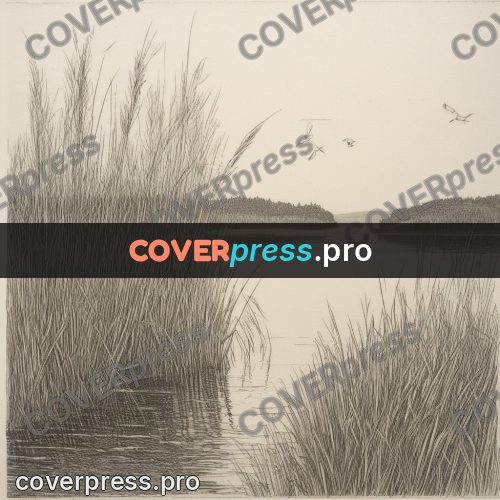 Engraving style drawing: backwater with reeds