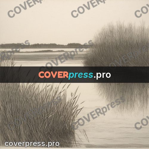 Engraving style drawing: backwater with reeds