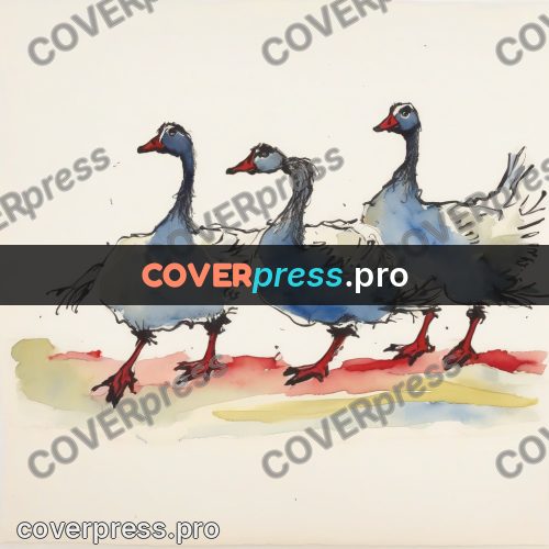 Quentin Blake style drawing: geese on a red band