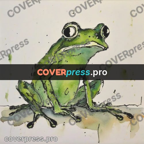 Quentin Blake style drawing: green frog with big eyes