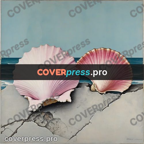 Vintage illustration: sea shells on stone