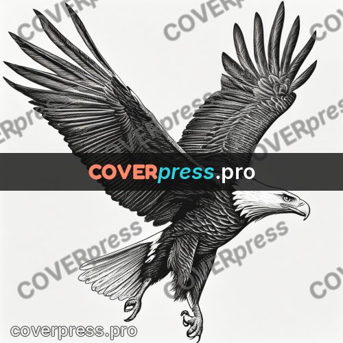 Scratchboard drawing: eagle in flight