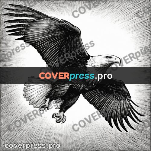 Scratchboard drawing: eagle in flight