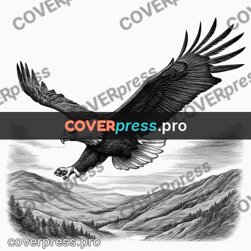 Scratchboard drawing: eagle in flight