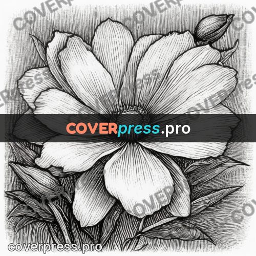 Scratchboard drawing: open flower with petals