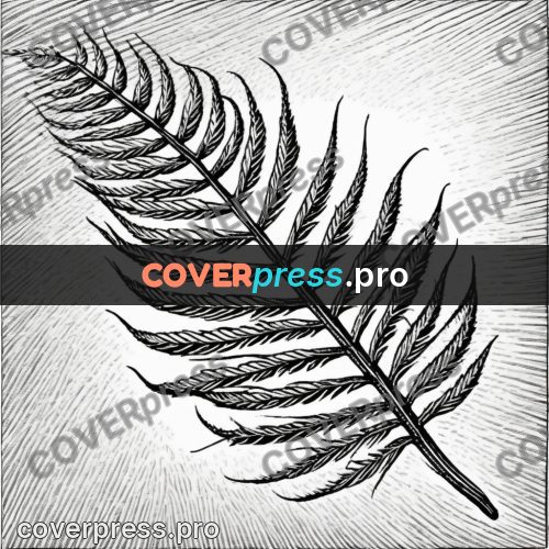 Scratchboard drawing: fern leaf with veins
