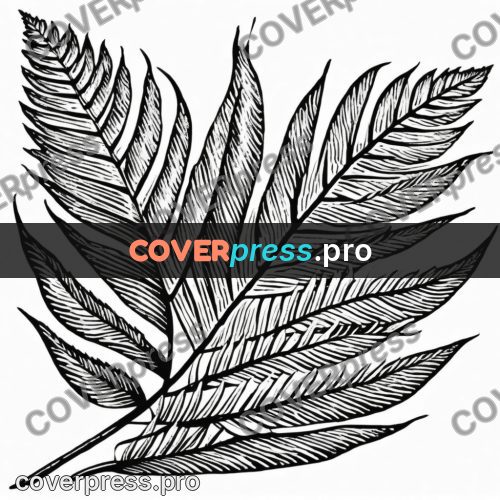 Scratchboard drawing: fern leaf with veins