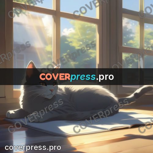 Shinkai style anime landscape: grey cat on a book