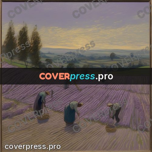 Van Gogh style artwork: lavender harvest in a field