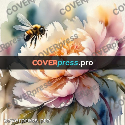 Watercolor illustration: peony with a bee
