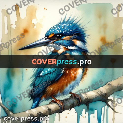 Watercolor illustration: kingfisher on a branch