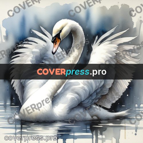 Watercolor illustration: white swan on the water