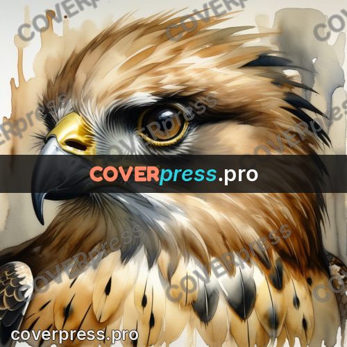 Watercolor illustration: falcon head in profile