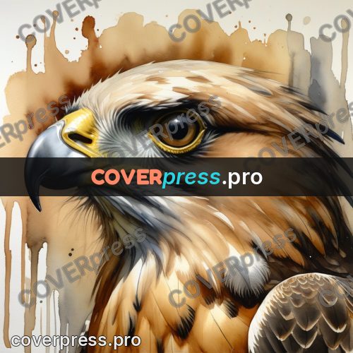 Watercolor illustration: falcon head in profile