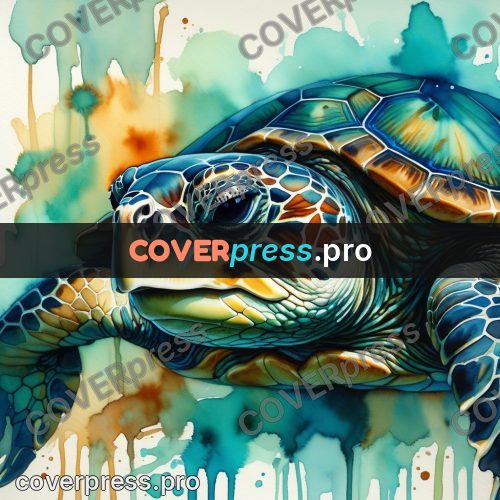Watercolor illustration: sea turtle head