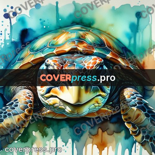 Watercolor illustration: sea turtle head