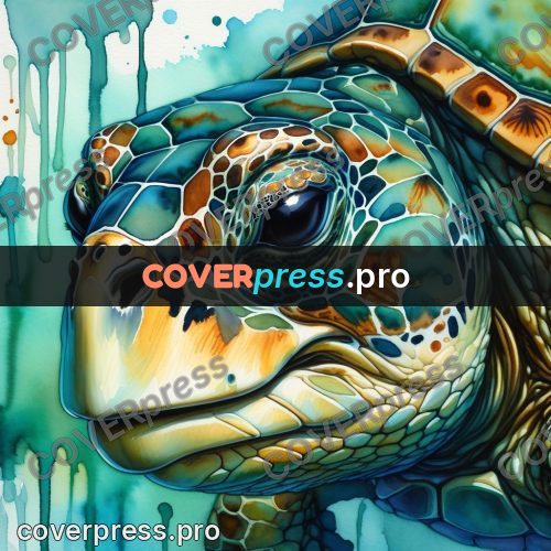 Watercolor illustration: sea turtle head