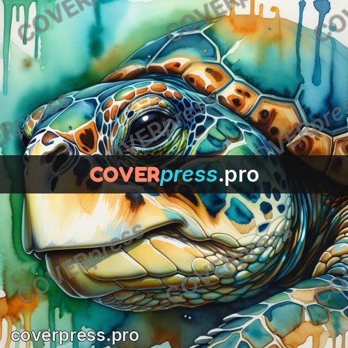 Watercolor illustration: sea turtle head