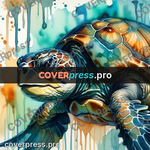 Watercolor illustration: sea turtle head