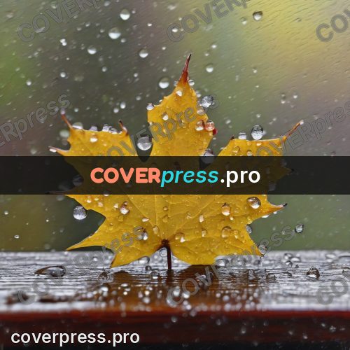 Watercolor illustration: yellow maple leaf with drops