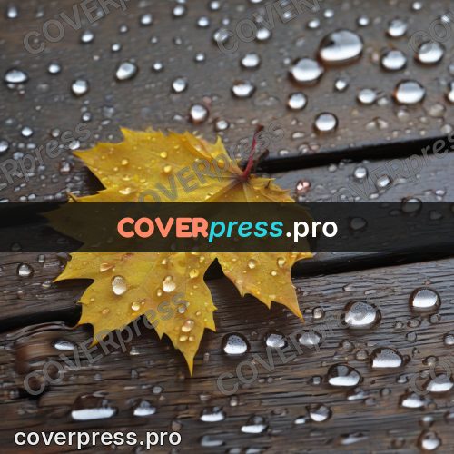 Watercolor illustration: yellow maple leaf with drops