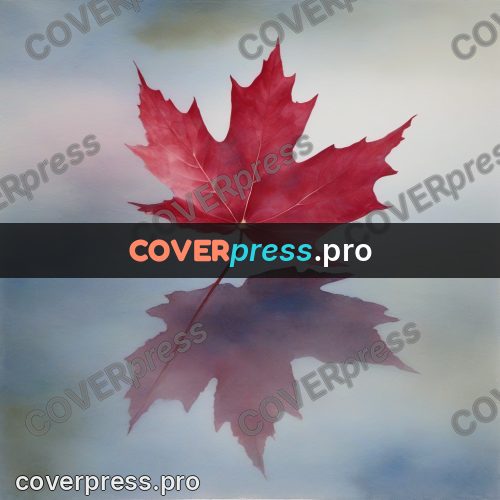 Watercolor illustration: red maple leaf